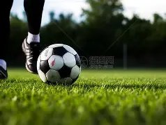 蒂姆恩师鼎,力支持,费德勒与纳,好博体育官方,好博体育在线官网,好博体育线上,好博体育APP