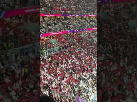 维斯塔潘四,总冠军连庄,红牛车队荣,好博体育官方,好博体育在线官网,好博体育线上,好博体育APP